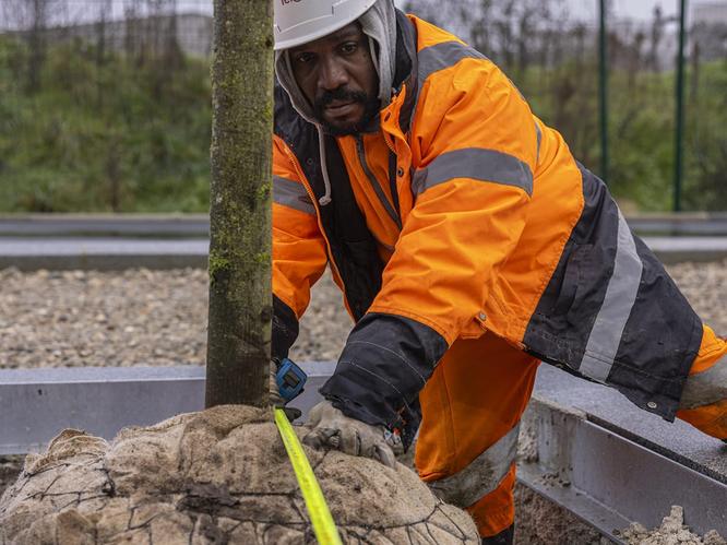 Plantation d'arbres le long de l'avenue paysagère © Département de la Seine-Saint-Denis