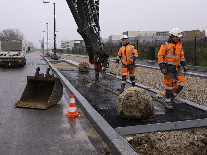 Plantation d'arbres le long de l'avenue paysagère © Département de la Seine-Saint-Denis