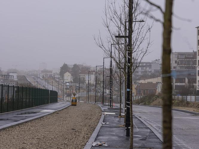 Plantation d'arbres le long de l'avenue paysagère © Département de la Seine-Saint-Denis