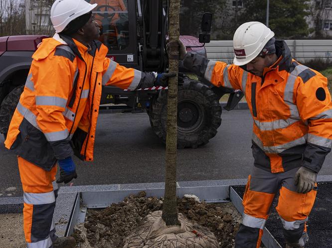 Plantation d'arbres le long de l'avenue paysagère © Département de la Seine-Saint-Denis