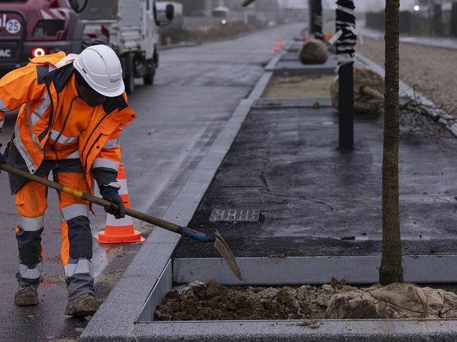 Plantation d'arbres le long de l'avenue paysagère © Département de la Seine-Saint-Denis